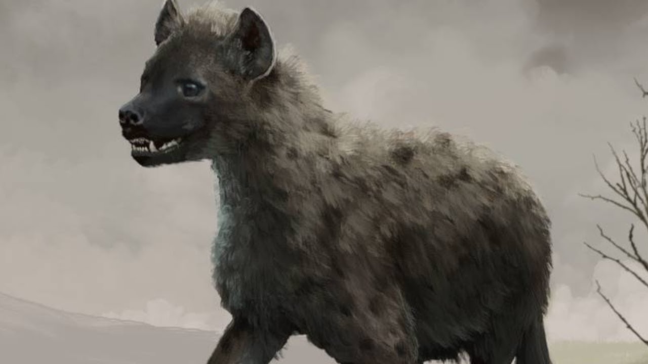 Пещерные гиены — евразийские костоломы