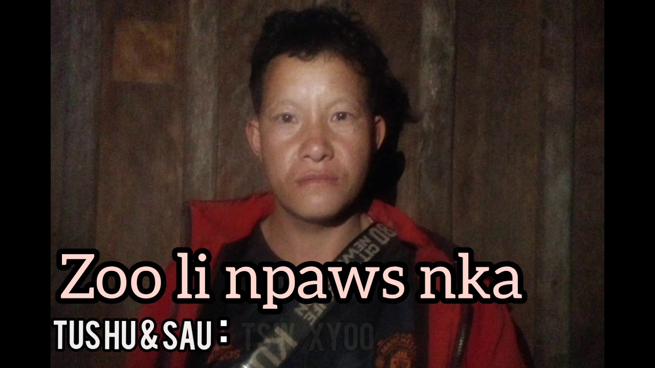 Zoo li npaws nka 