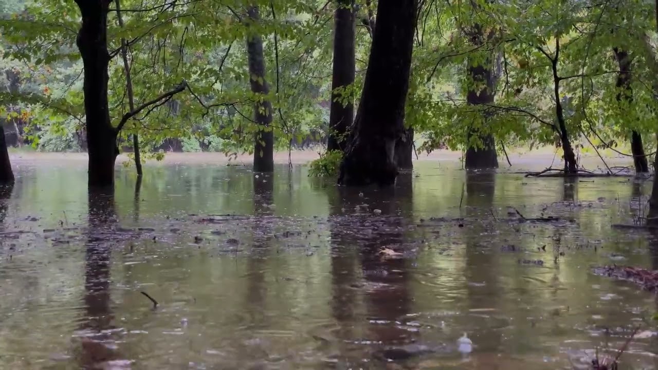 Calm rainy day