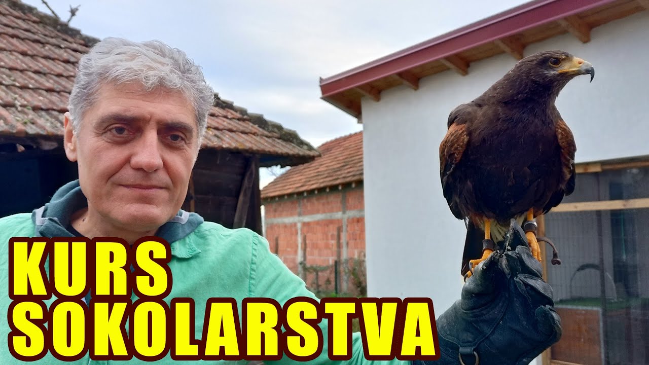 KURS SOKOLARSTVA