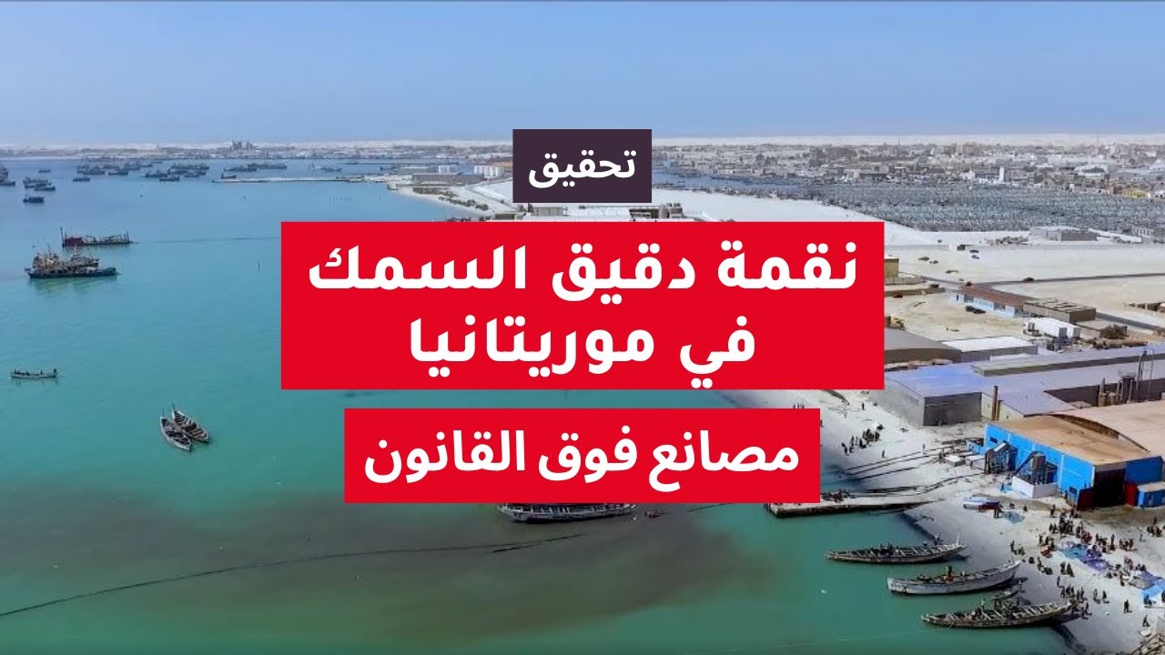 تحقيق نقمة دقيق السمك في موريتانيا: مصانع فوق القانون | للصحفي ابوبكر سالم