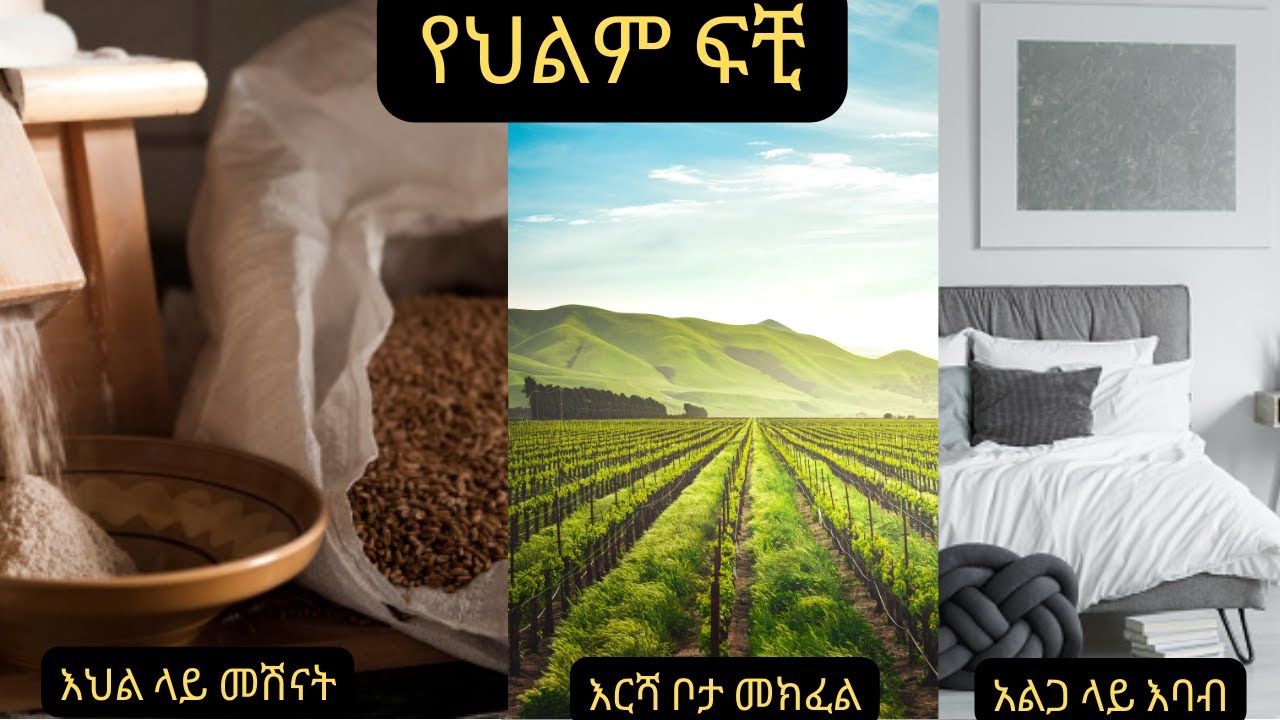 አልጋ ላይ እባብ፤እህል ላይ መሽናት, እርሻ ቦታ መክፈል
