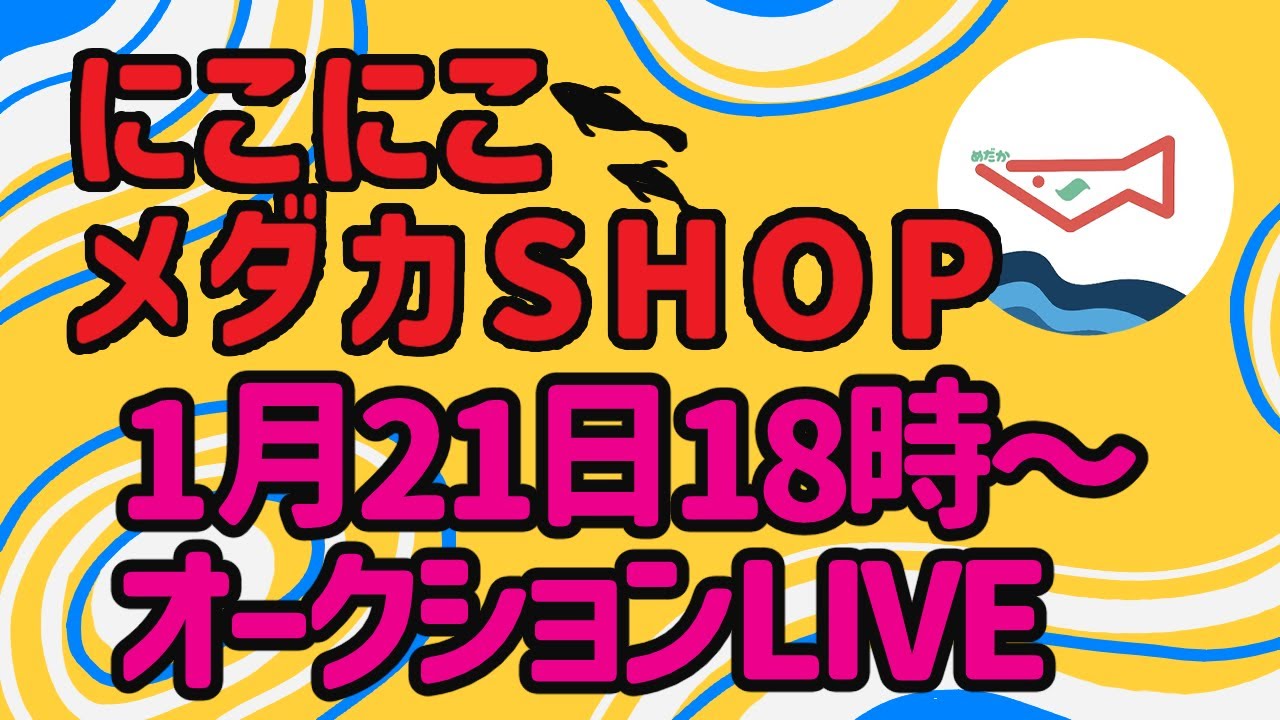 2026年　第3回　にこにこメダカSHOPオークションLIVE  全編