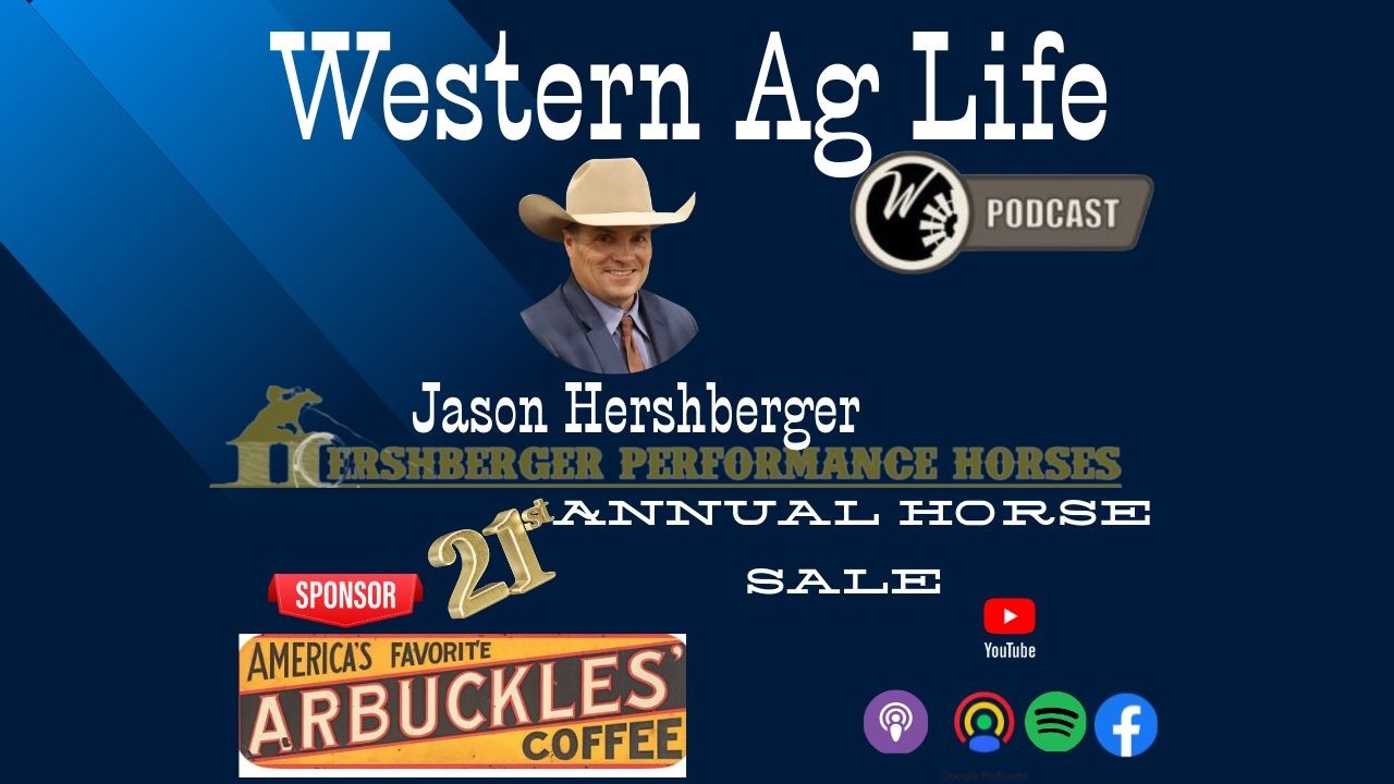 Jason Hershberger - 21st annual horse sale
