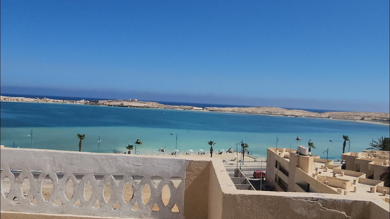 روف النخيل عثمان