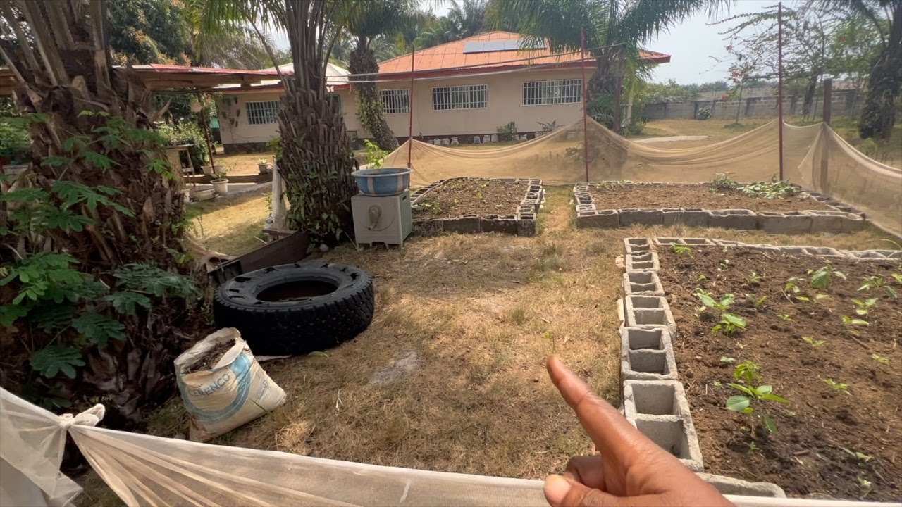 Preparing for the rainy season in tropical Liberia 🇱🇷🌱✅
