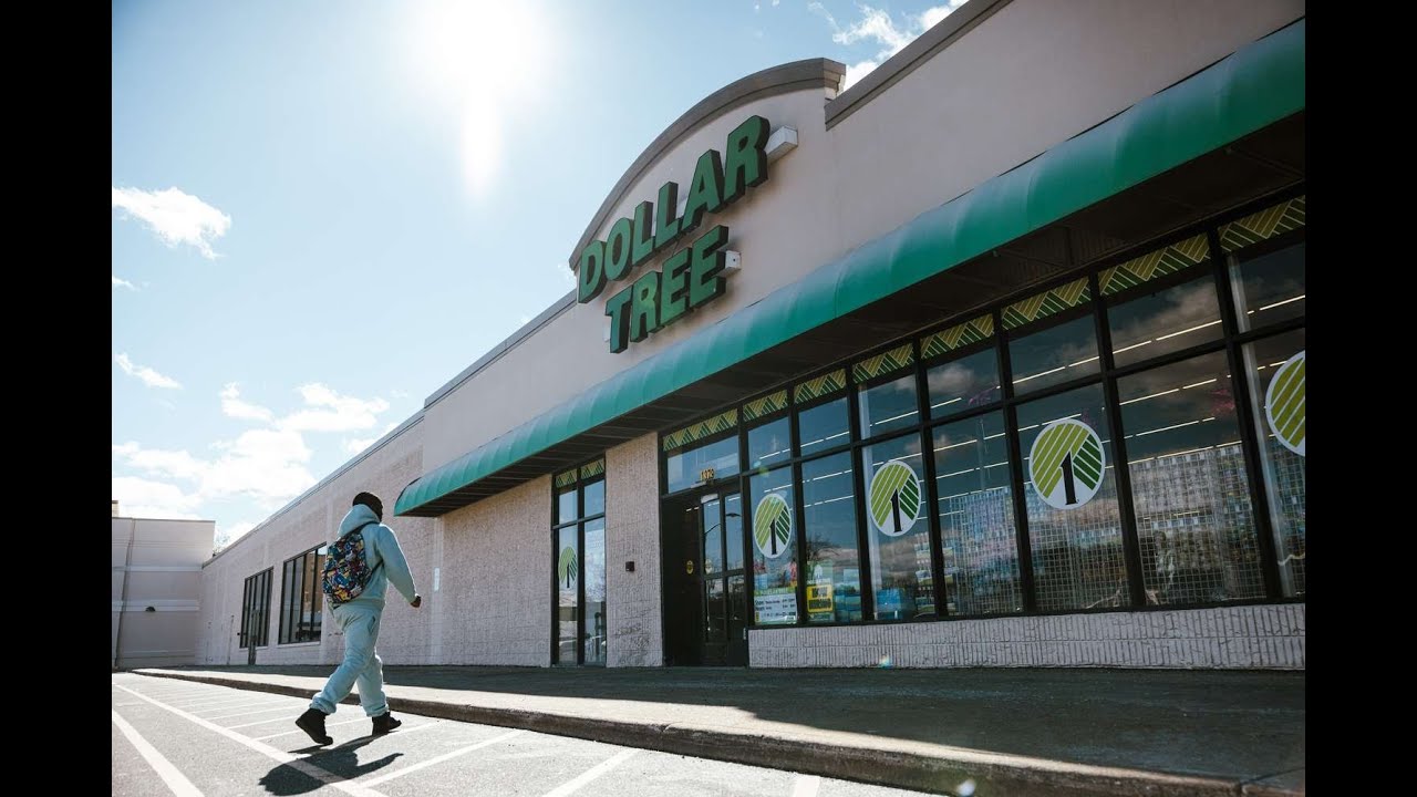 Is Dollar Tree Stock a Long Term Buy? DLTR Analysis!