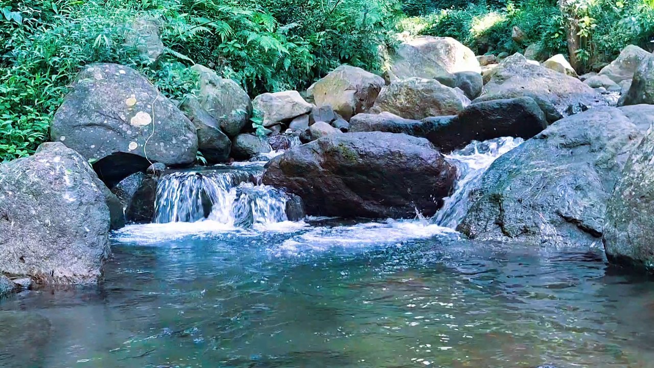 Gentle River Flow for Relaxing Nights
