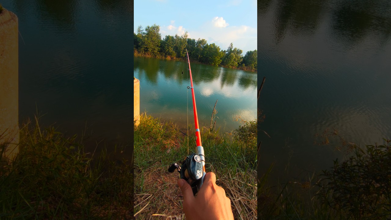 Daiwa tatula sv tw 20 X power strong 