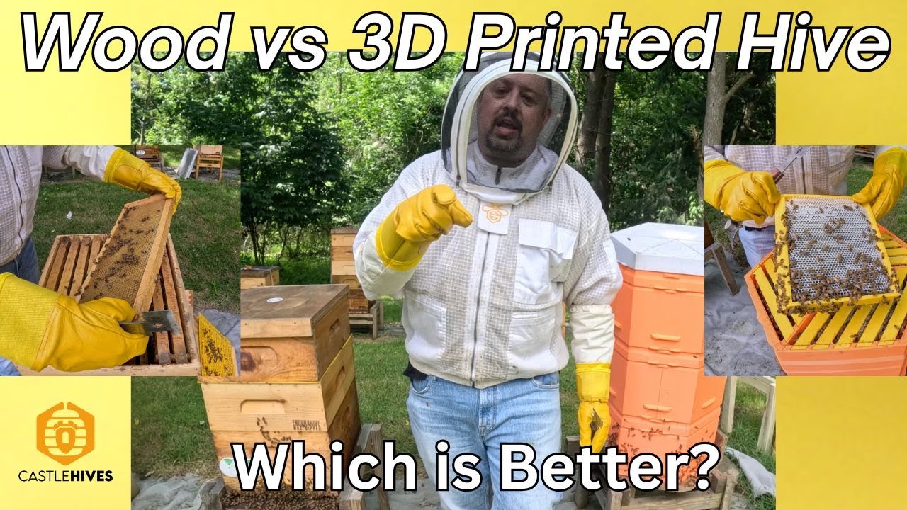 3D Printed Hex Hive vs Wooden Langstroth | You Decide ! !