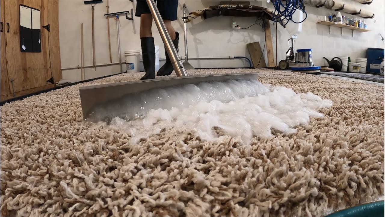 DEEP CLEANING A SHAG RUG || Properly