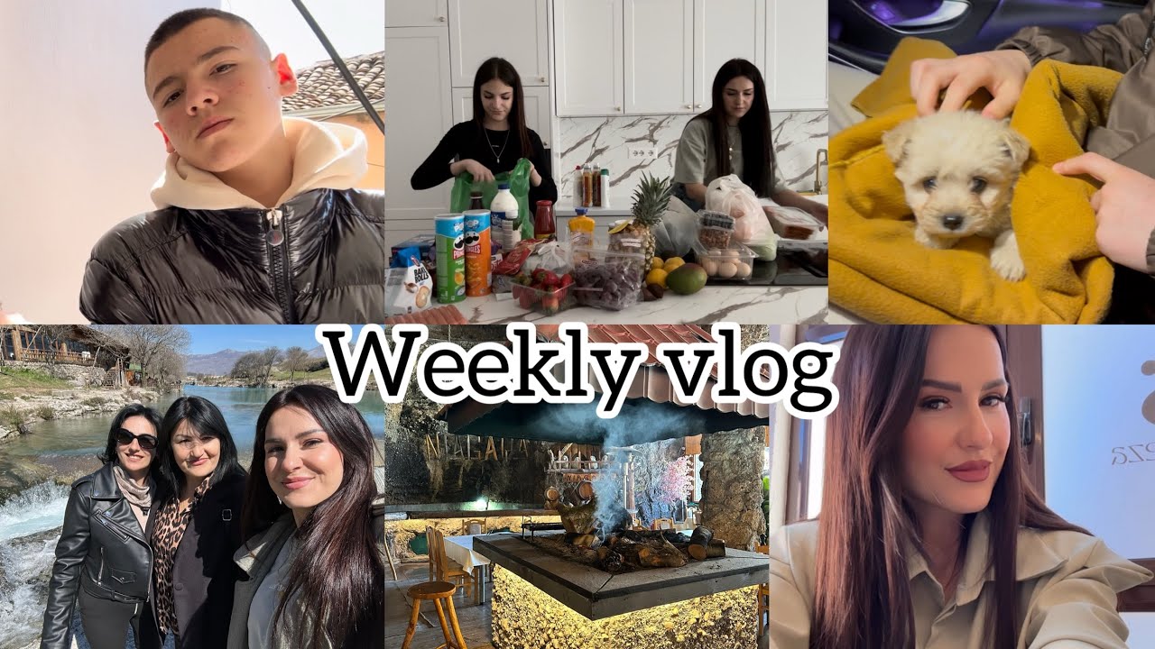 Weekly Vlog//Vizita e Angelos tek mjeku//Qenush i vogel per ku?//Super market haul//Dezi Lami