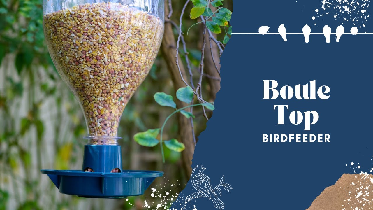 Bottle Top Bird Feeder