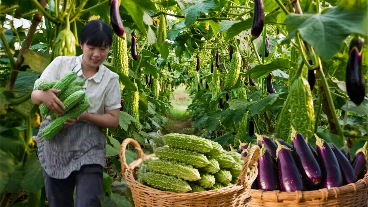 五毛一斤的苦瓜茄子，换一种方式让它们变得更有价值，将它们做成蔬菜干！#农村生活#采摘
