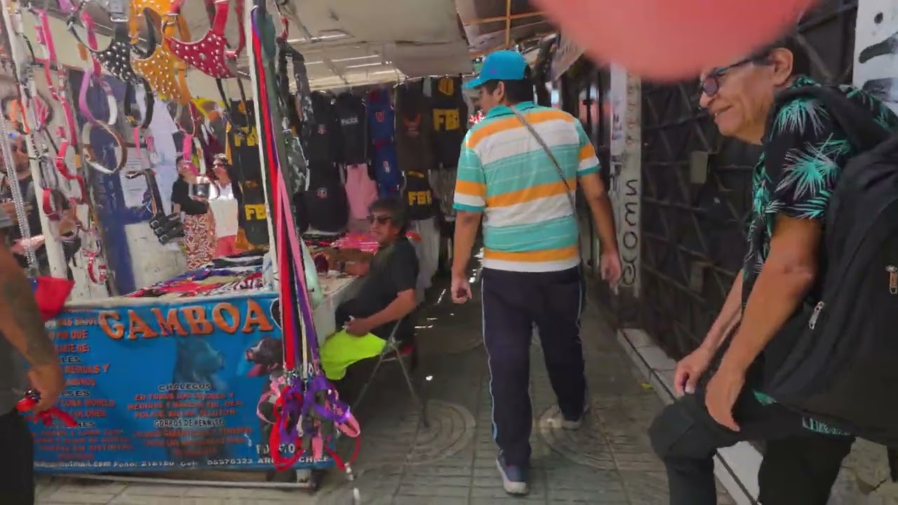 MICHEL PACIENDO PASEO DE 21 MAYO EN EL CENTRO DE ARICA 2026 🇱🇷🇨🇱🥰