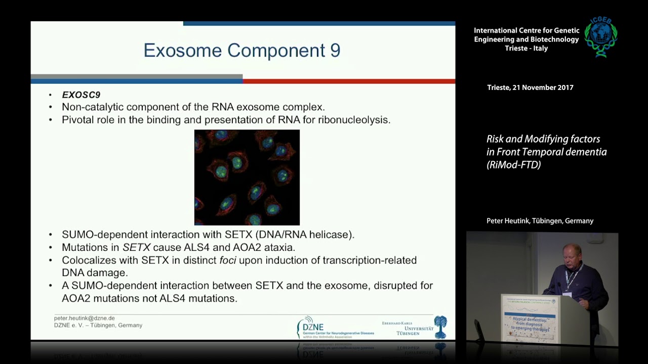 P. Heutink - Risk and modifying factors in Fronto Temporal Dementia (RiMod-FTD)