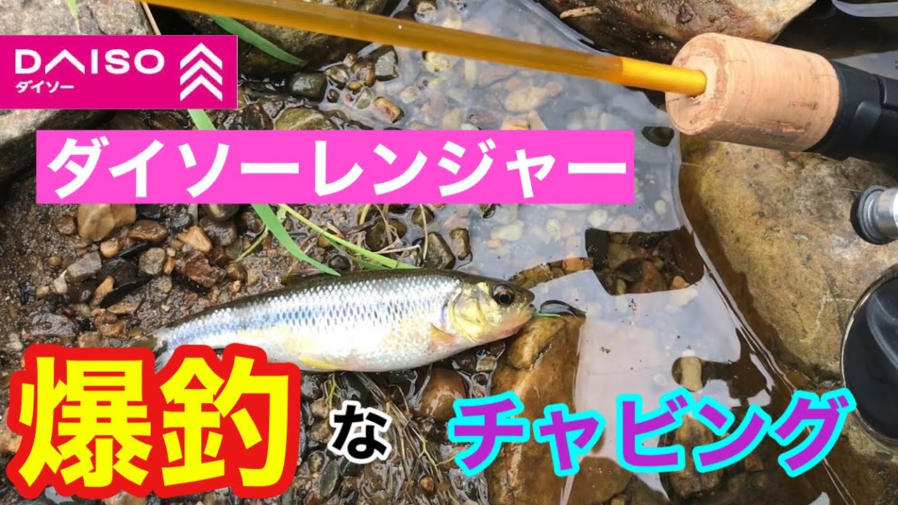 ダイソーレンジャーなら爆釣なチャビング ダイソールアーロッド オイカワ カワムツ 矢作川