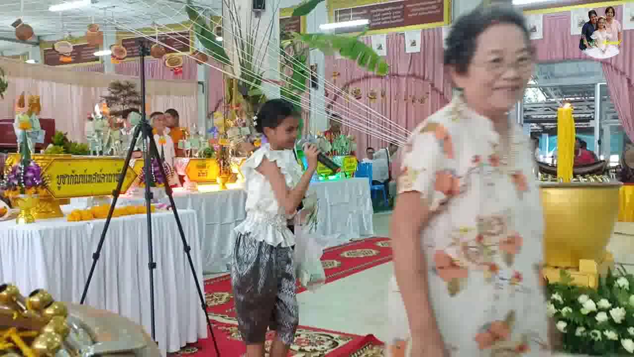 สี่กษัตริย์เดินดง น้องป่าน ปานชีวา