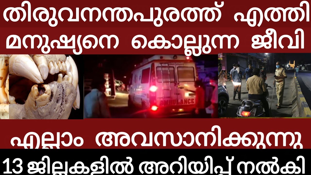 തിരുവനന്തപുരത്ത് എത്തി.മനുഷ്യനെ കൊല്ലുന്നു വൻ ദുരന്തം.. | Breakingnews | Keralapolice | 