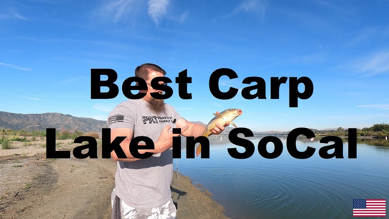 Best Carp Lake in SoCal. Producing endless catches