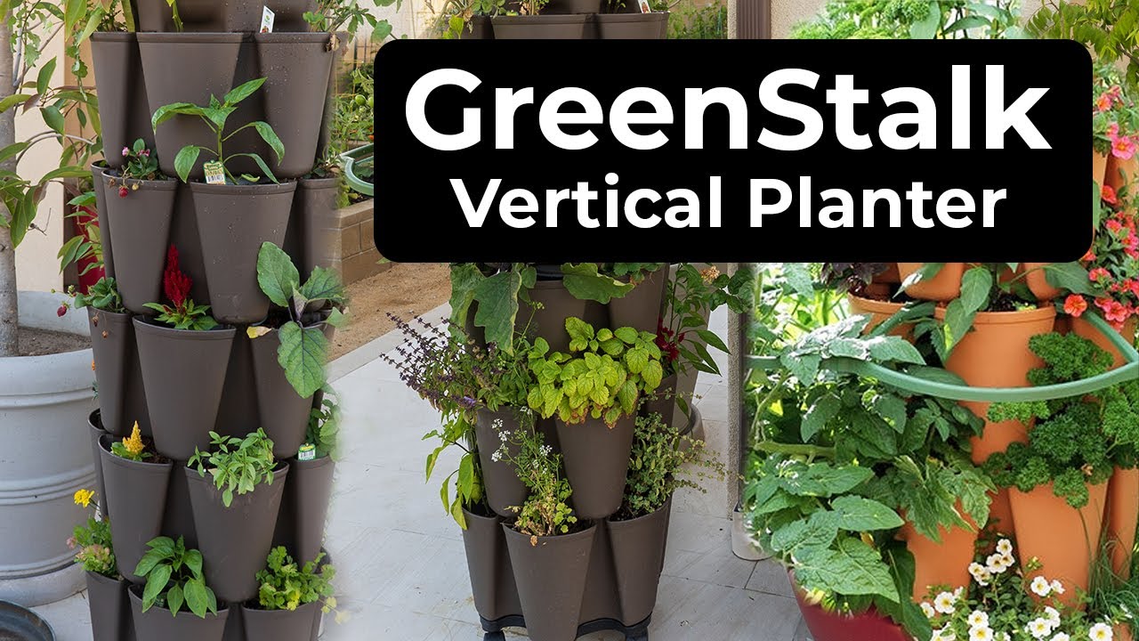 GreenStalk Vertical Planter - How to grow LOTS of plants in a small space