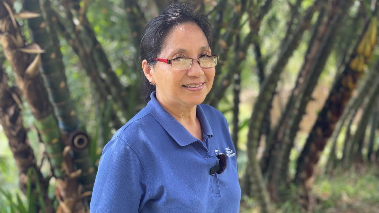 KAWAYAN FARM, A SUSTAINABLE LIVELIHOOD