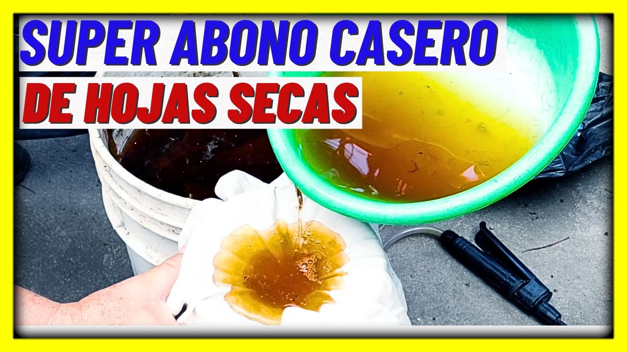 COMO HACER un SUPER ABONO CASERO orgánico de HOJAS SECAS, para TODAS las plantas | Gio de la Rosa