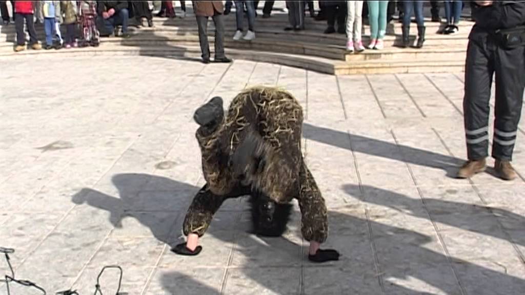 Galjske mačkare 23.01.2016 2.dio