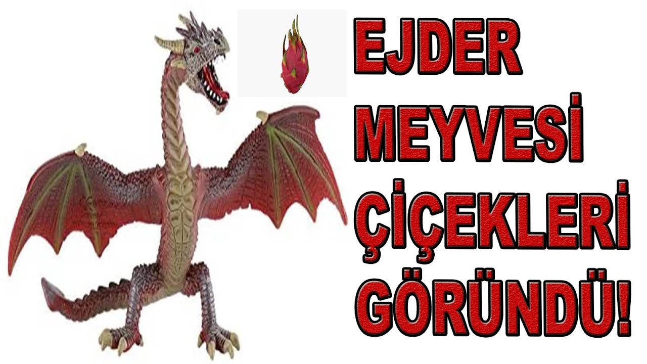 EJDER MEYVESİNDE DÖLLENME, MEYVE BÜYÜTME VE MEYVE SEYRELTME UYGULAMALARI