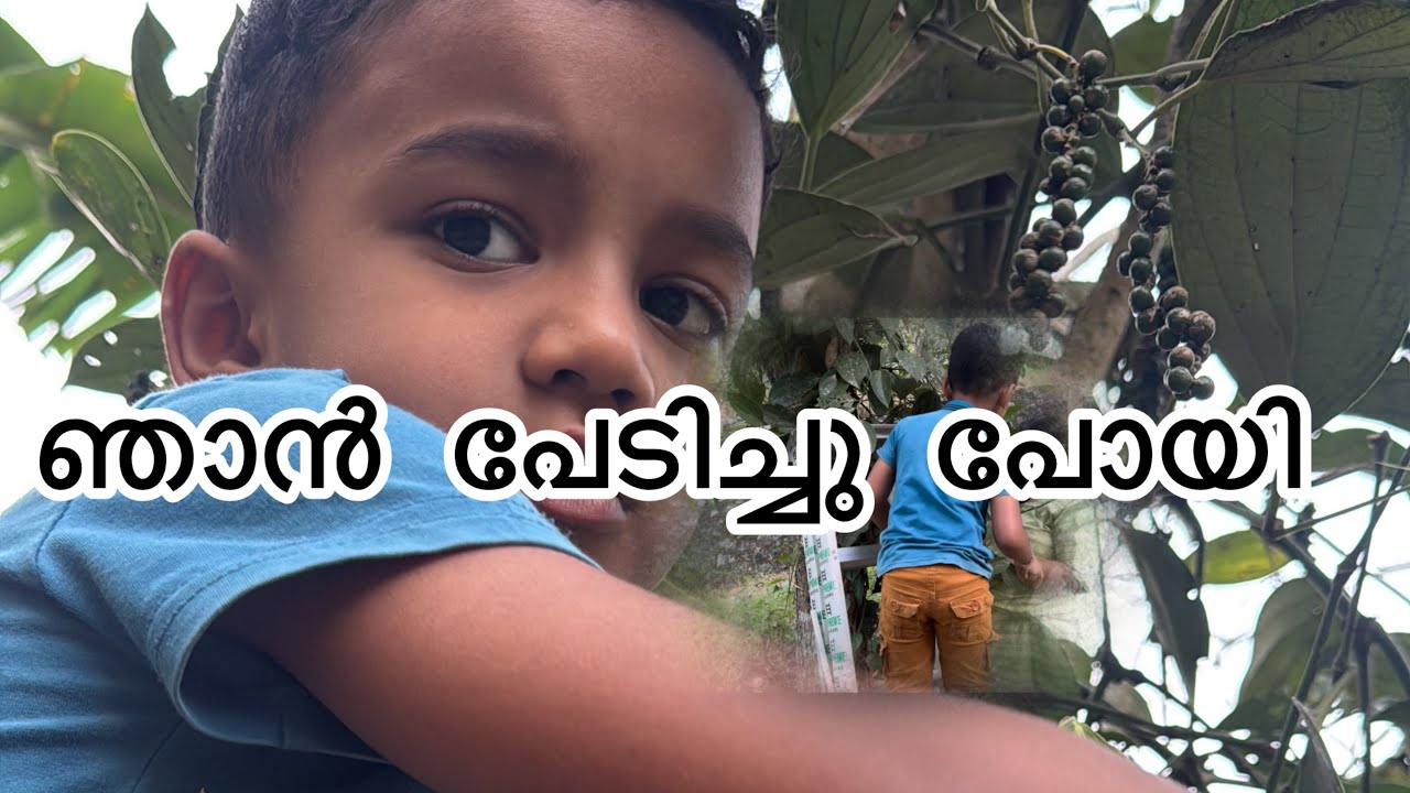 ഞാൻ പേടിച്ച് പോയി @AAlhu’s vlog