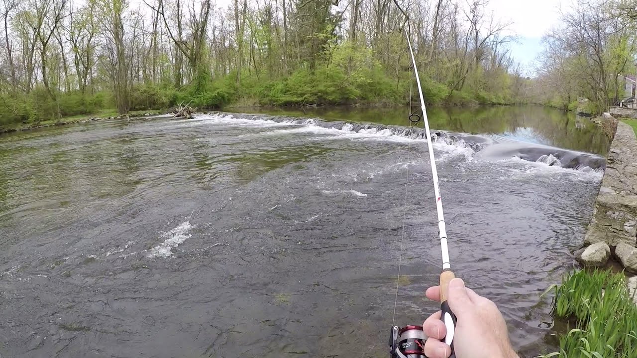 THIS Creek is LOADED with TROUT! (Rainbow & Brown)