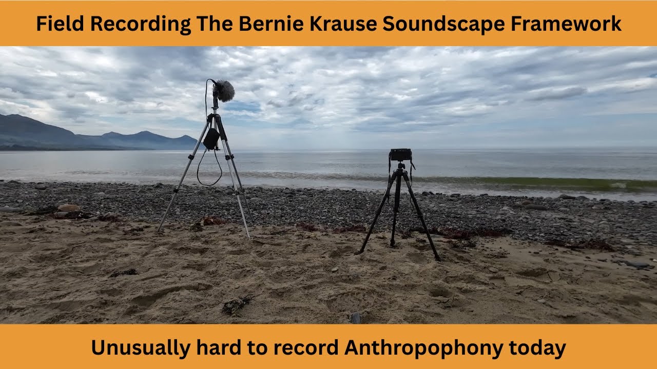 Completing Bernie krause's soundscape framework | Audio Technica BP 4025 and Micbooster Clippies