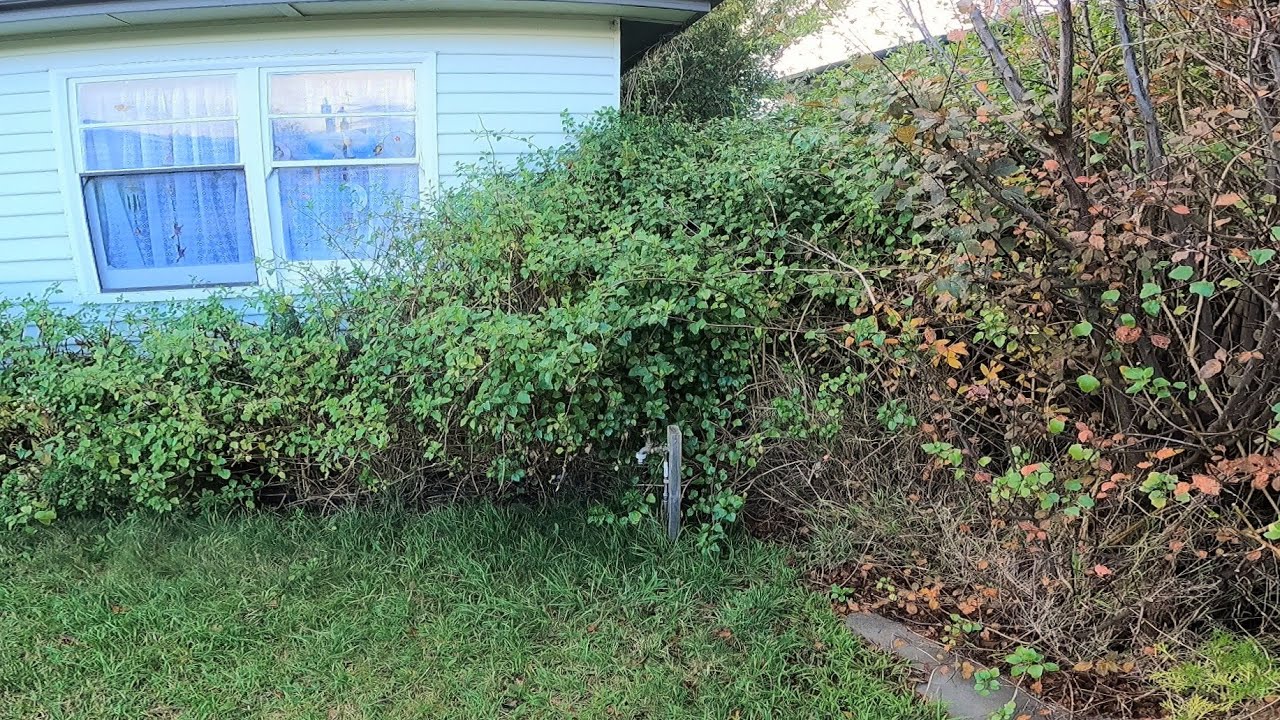 The Owner's Uncle Couldn't Fix This DISASTER | So We DID (Amazing Result)