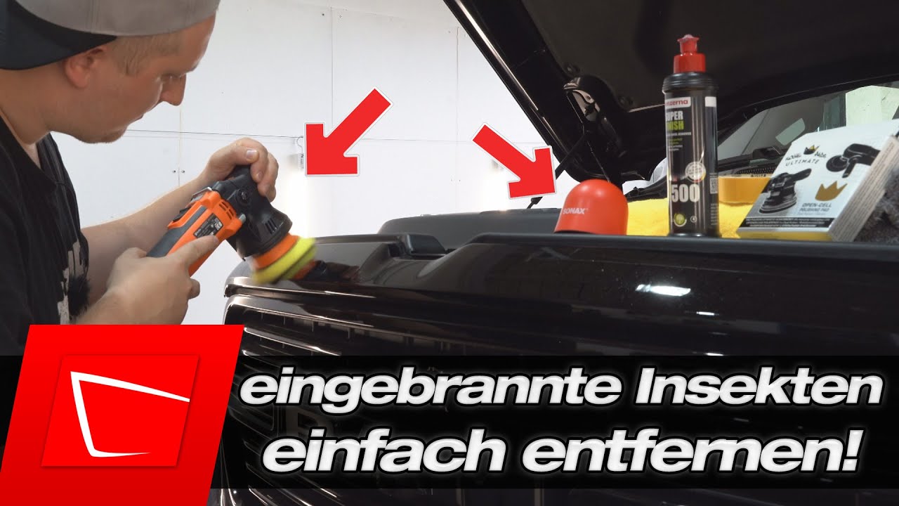 So entfernst du eingebrannte Insektenreste mit Poliermaschine oder per Hand - Anleitung und Tipps