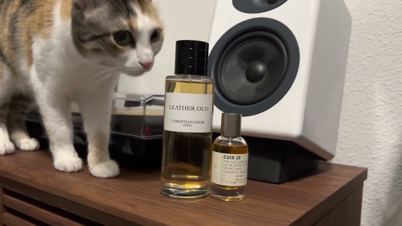 DIOR Leather Oud La Collection Priveé