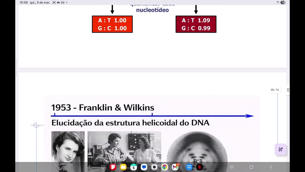 BM - Estrutura e composição química dos ácidos nucleicos