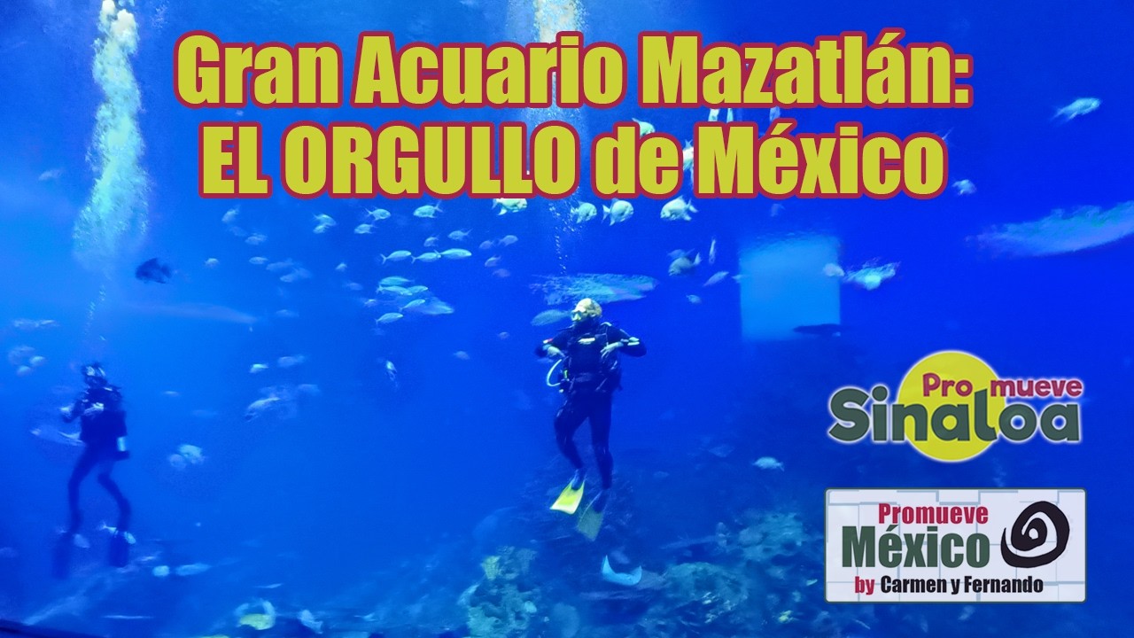 Gran Acuario. El Mejor Lugar para Visitar en Mazatlán con Niños y Familia