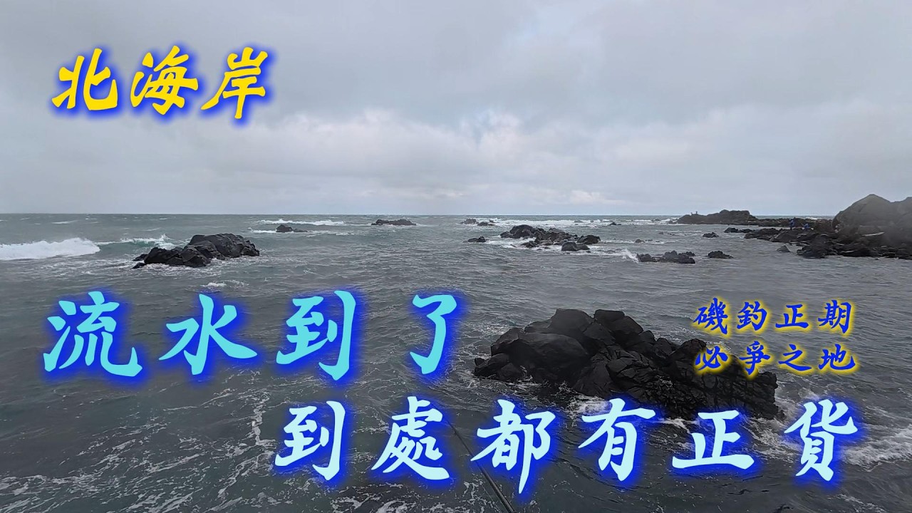( 釣魚）2026   流水到了 到處都有正貨  新北 北海岸 石門 海釣 磯釣 釣魚 ,  #fishing #大咬 #asmr #asmrsounds
