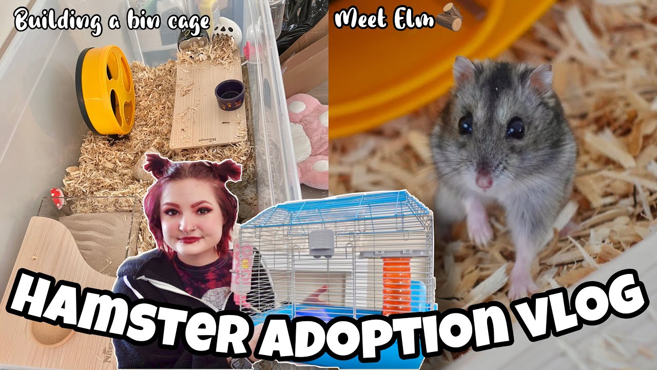 🐹HUGE HAMSTER RESCUE VLOG 🐹