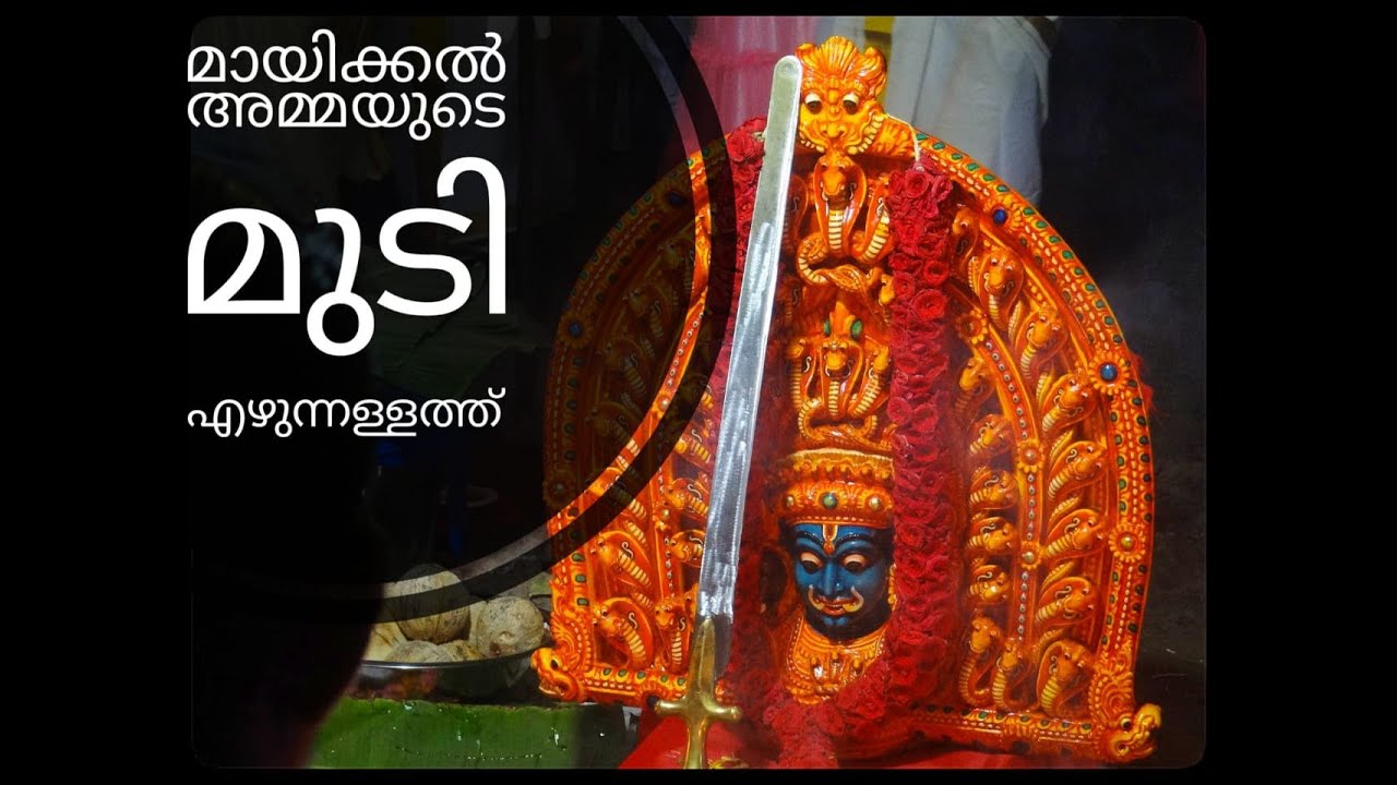 മായിക്കൽ ദേവീ ക്ഷേത്രം  മുതുകുളം തിരുഃമുടി എഴുന്നള്ളത്ത് |Mayikal Devi Temple Mudi Ezhunnallathu|