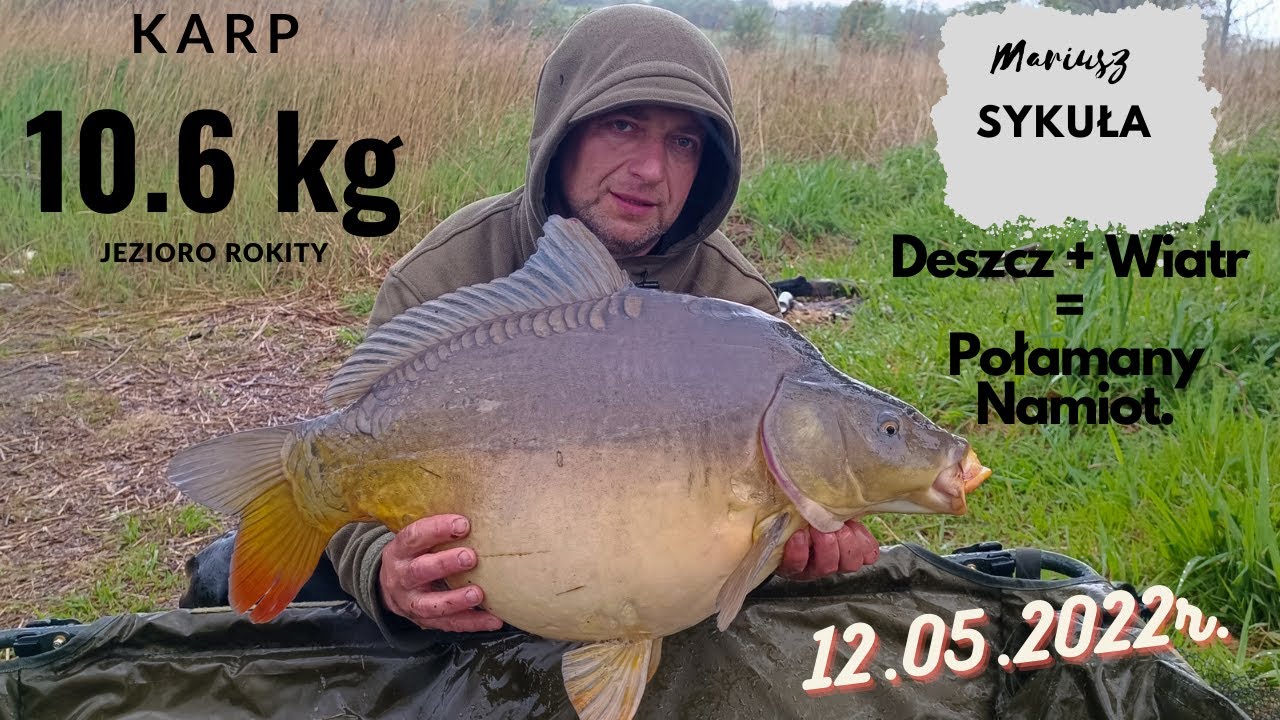 Hol Karpia 10.6 kg 12.05.2022r. Woda PZW jezioro Rokity
