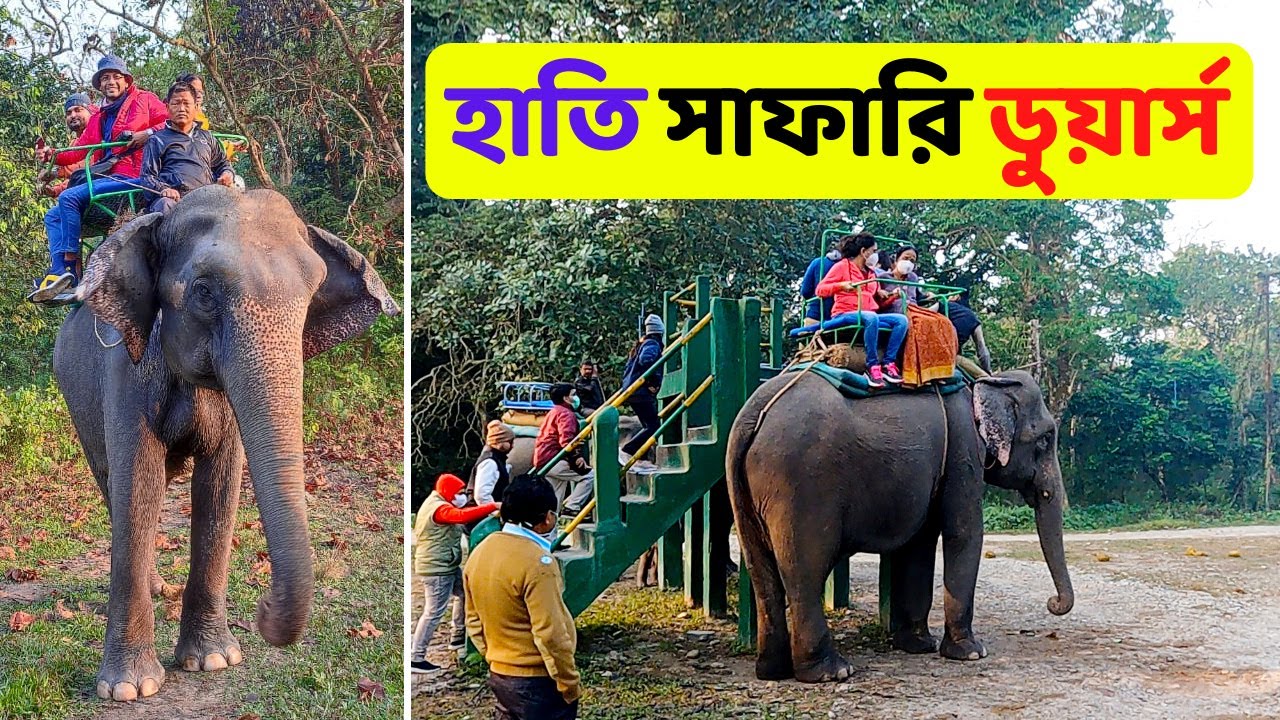 ডুয়ার্সে হাতি সাফারি | Dooars Hati Safari | Jaldapara National Park Elephant Safari
