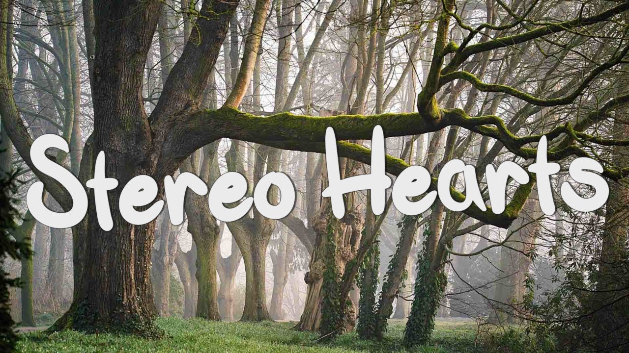 Stereo Hearts - Gym Class Heroes (Lyrics) ft. Adam Levine, One Direction, Ruth B.,...