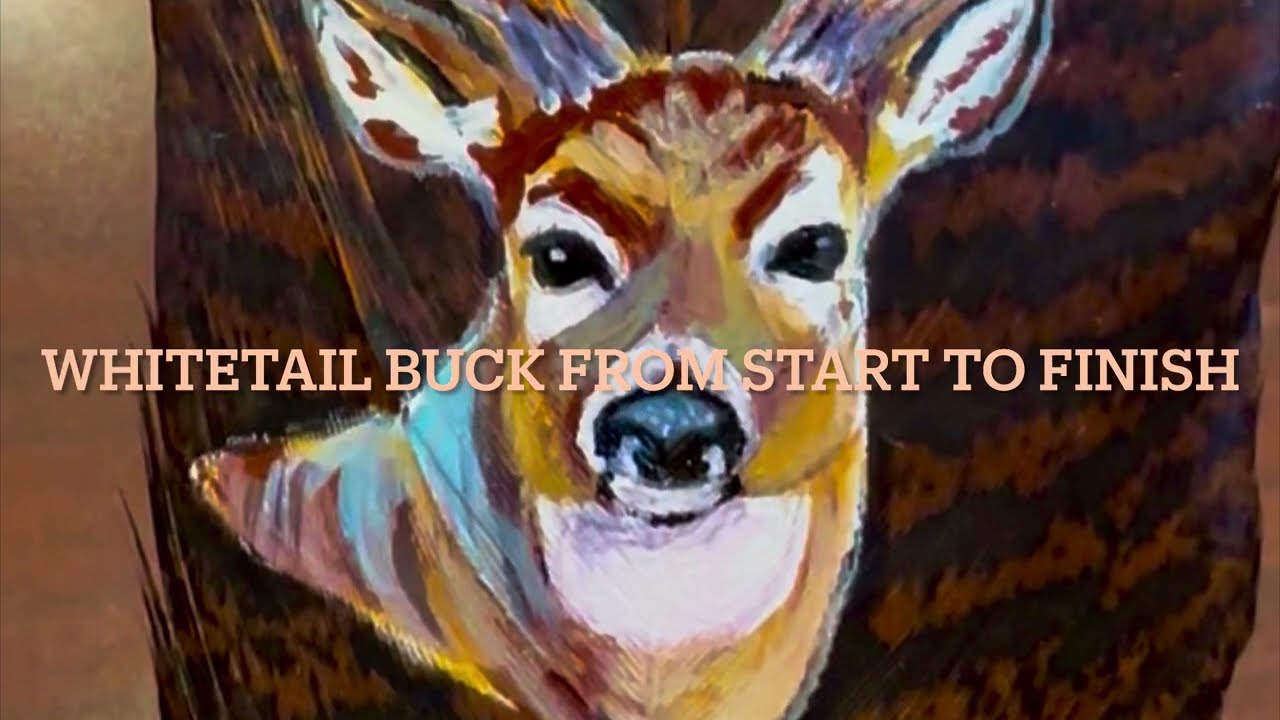 Whitetail Buck Feather Painting Timelapse 
