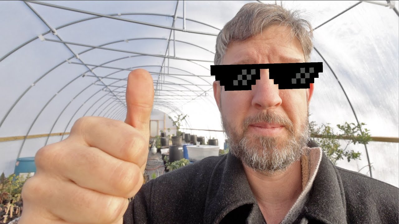 Can Barrels of Water Keep a Greenhouse Warm? Results!
