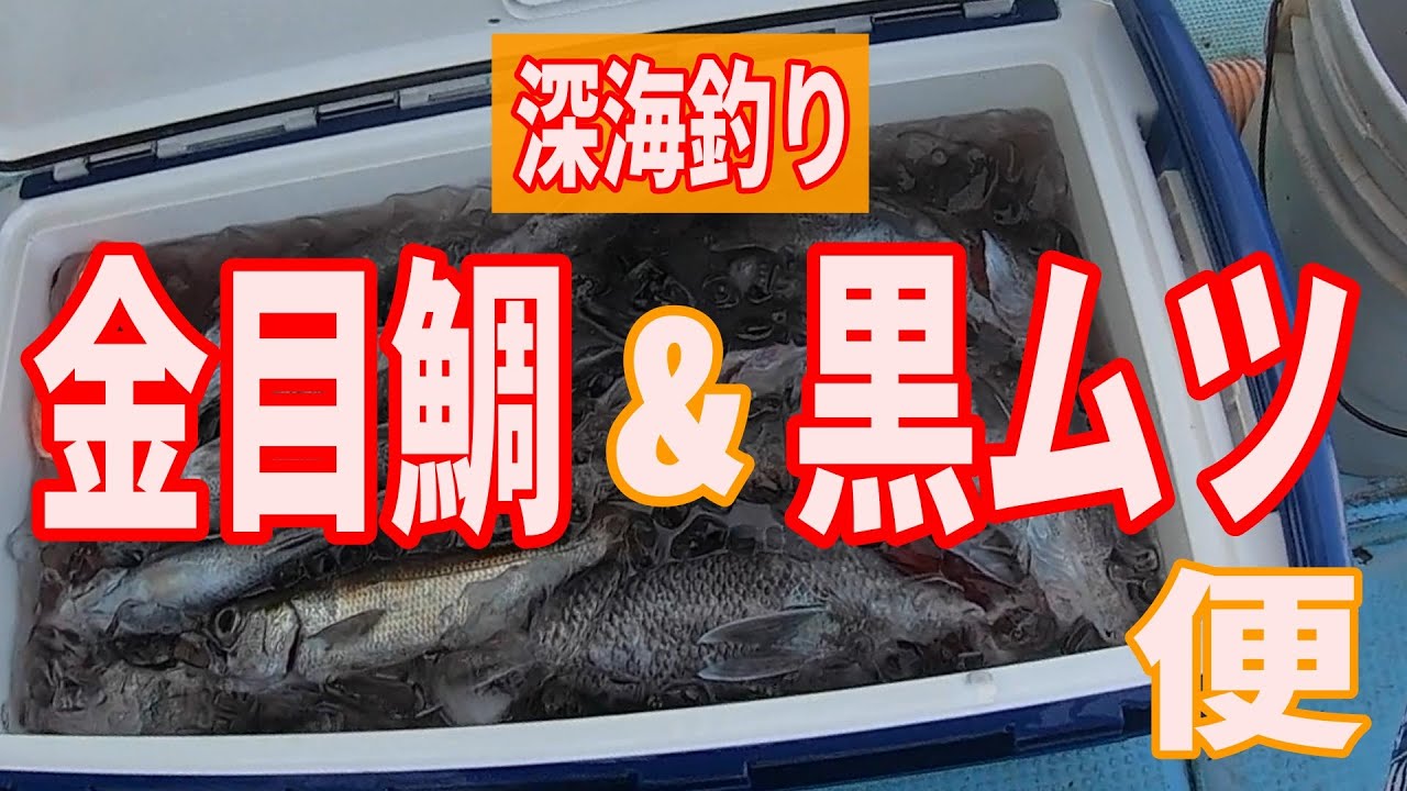 《和歌山・貴丸》深海釣り金目鯛・黒ムツ便2023 3 19 キンメ黒ムツ釣り
