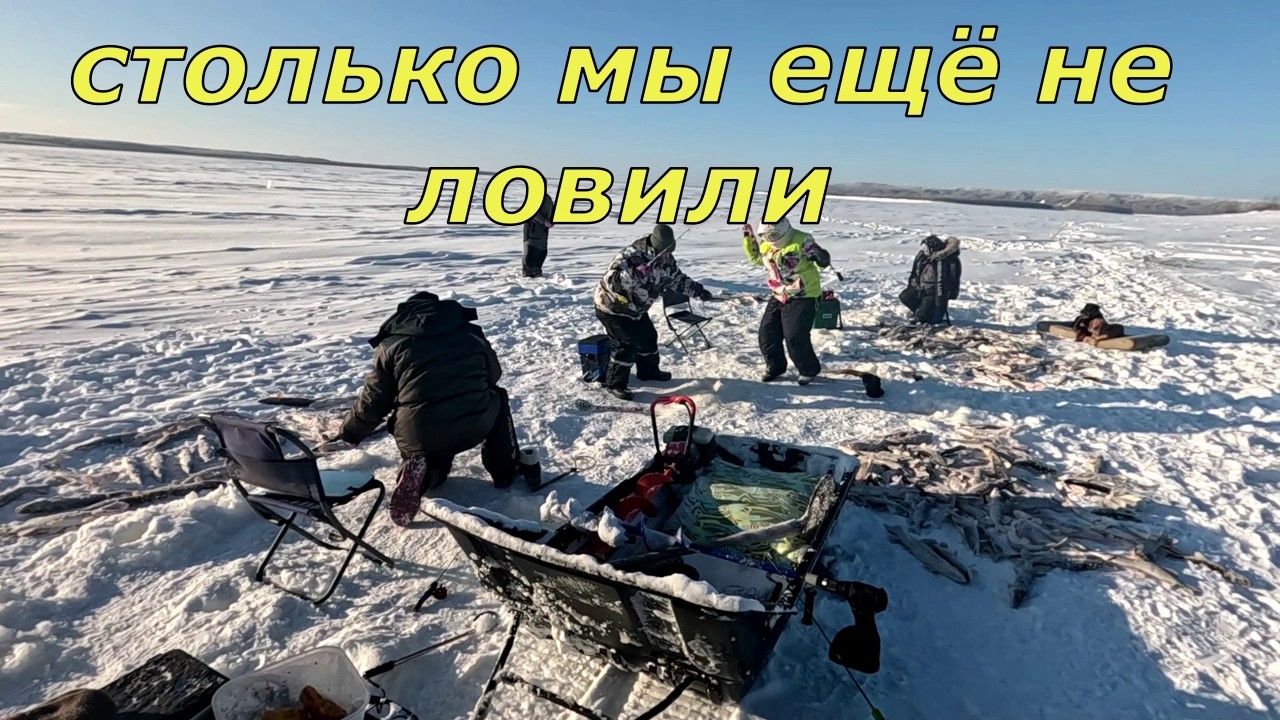 Один день зиму кормит, столько мы ещё не ловили. Это даже не эльдорадо, а клондайк щучий.