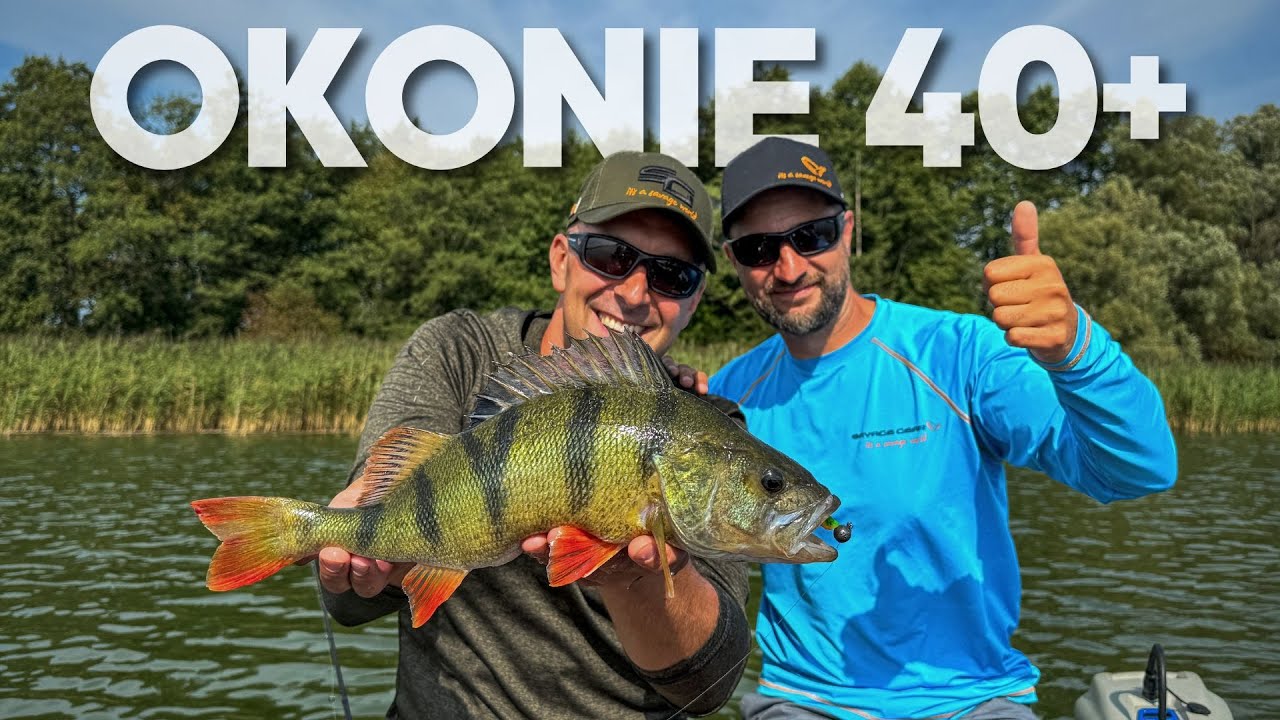 Duży okoń to zupełnie inny gatunek | Jak łowić ryby 40+ ?