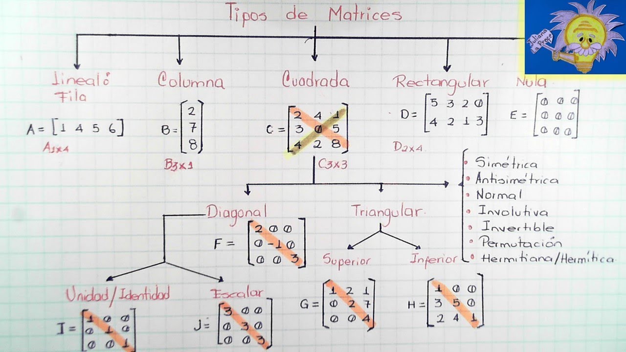 Tipos de matrices (lineal, columna, cuadrada, triangular, escalar, diagonal) | Juliana la Profe