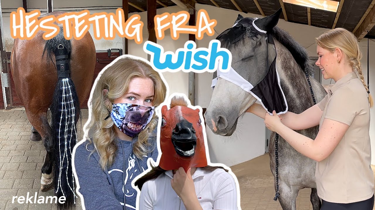 JEG PR&Oslash;VER HESTETING FRA WISH *sjovt haul* | Camillas Hesteverden